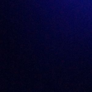 Meet your Posher, Ava